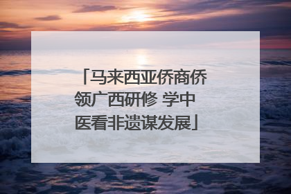 马来西亚侨商侨领广西研修 学中医看非遗谋发展