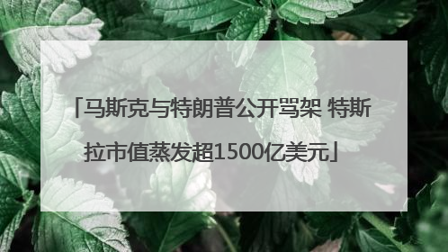 马斯克与特朗普公开骂架 特斯拉市值蒸发超1500亿美元