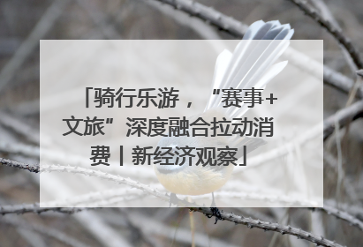 骑行乐游，“赛事+文旅”深度融合拉动消费丨新经济观察