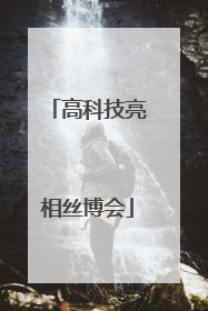 高科技亮相丝博会