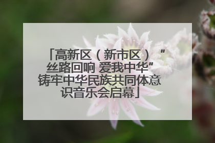 高新区（新市区）“丝路回响 爱我中华”铸牢中华民族共同体意识音乐会启幕