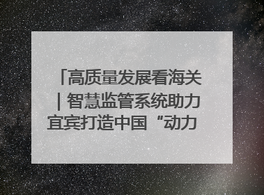 高质量发展看海关｜智慧监管系统助力宜宾打造中国“动力电池之都”