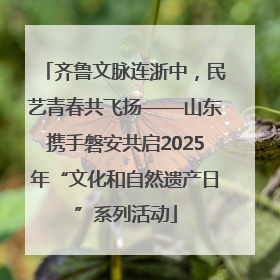 齐鲁文脉连浙中，民艺青春共飞扬——山东携手磐安共启2025年“文化和自然遗产日”系列活动
