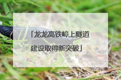龙龙高铁嶂上隧道建设取得新突破