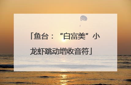 鱼台：“白富美”小龙虾跳动增收音符