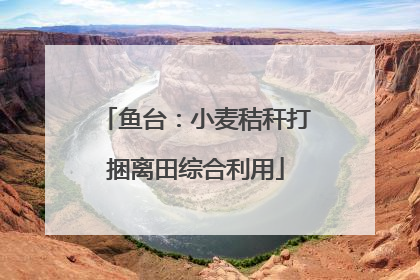 鱼台：小麦秸秆打捆离田综合利用