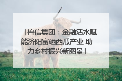 鲁信集团：金融活水赋能济阳富硒西瓜产业 助力乡村振兴新图景