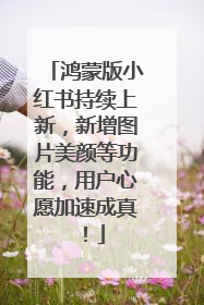 鸿蒙版小红书持续上新，新增图片美颜等功能，用户心愿加速成真！