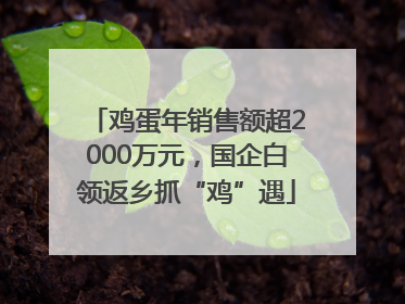 鸡蛋年销售额超2000万元，国企白领返乡抓“鸡”遇