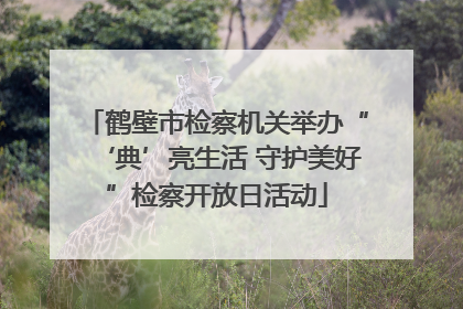 鹤壁市检察机关举办“‘典’亮生活 守护美好”检察开放日活动