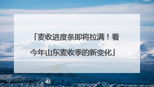 麦收进度条即将拉满！看今年山东麦收季的新变化
