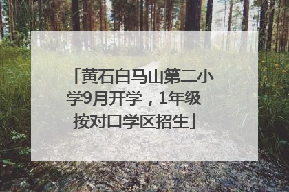黄石白马山第二小学9月开学，1年级按对口学区招生