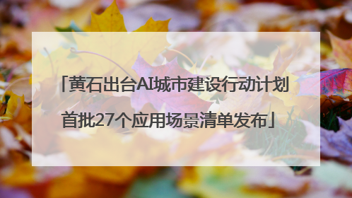 黄石出台AI城市建设行动计划 首批27个应用场景清单发布