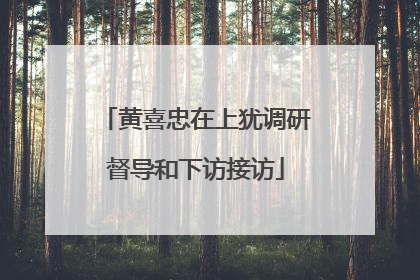 黄喜忠在上犹调研督导和下访接访