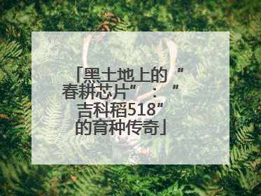 黑土地上的“春耕芯片”：“吉科稻518”的育种传奇