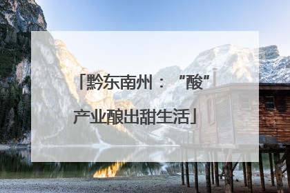 黔东南州：“酸”产业酿出甜生活