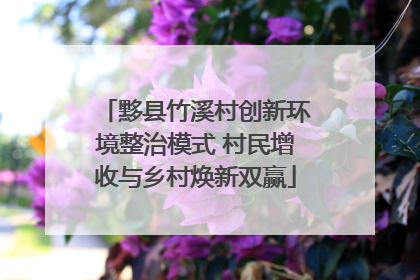 黟县竹溪村创新环境整治模式 村民增收与乡村焕新双赢