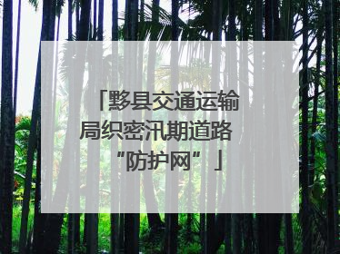 黟县交通运输局织密汛期道路“防护网”