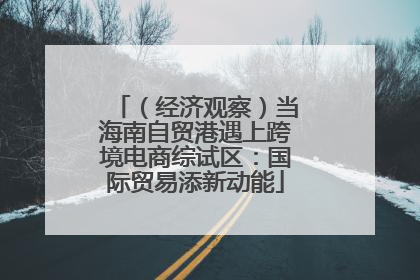 （经济观察）当海南自贸港遇上跨境电商综试区：国际贸易添新动能