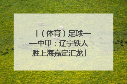 （体育）足球——中甲：辽宁铁人胜上海嘉定汇龙