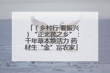 （乡村行·看振兴）“正北芪之乡”：千年草本焕活力 药材生“金”富农家