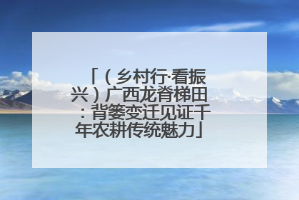 （乡村行·看振兴）广西龙脊梯田：背篓变迁见证千年农耕传统魅力