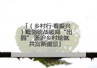 （乡村行·看振兴）毗邻统战破局“出圈” 浙沪乡村绘就共富新图景