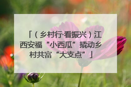 （乡村行·看振兴）江西安福“小西瓜”撬动乡村共富“大支点”