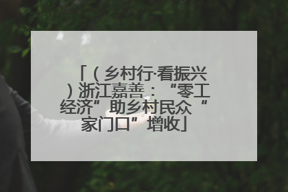 （乡村行·看振兴）浙江嘉善：“零工经济”助乡村民众“家门口”增收