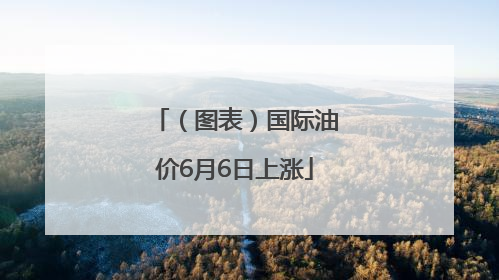 （图表）国际油价6月6日上涨