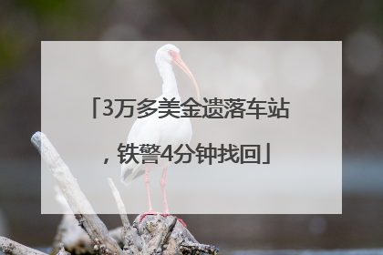 3万多美金遗落车站，铁警4分钟找回