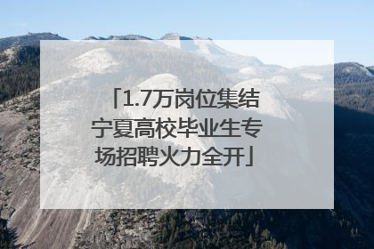 1.7万岗位集结 宁夏高校毕业生专场招聘火力全开