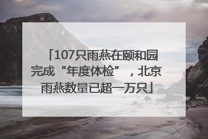 107只雨燕在颐和园完成“年度体检”，北京雨燕数量已超一万只