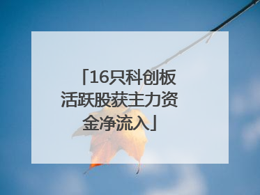 16只科创板活跃股获主力资金净流入