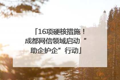16项硬核措施！成都网信领域启动“助企护企”行动