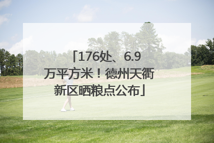 176处、6.9万平方米！德州天衢新区晒粮点公布