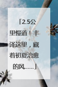 2.5公里慢道！丰泽这里，藏着初夏治愈的风……