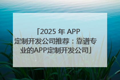 2025 年 APP 定制开发公司推荐：靠谱专业的APP定制开发公司