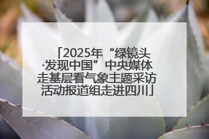2025年“绿镜头·发现中国”中央媒体走基层看气象主题采访活动报道组走进四川