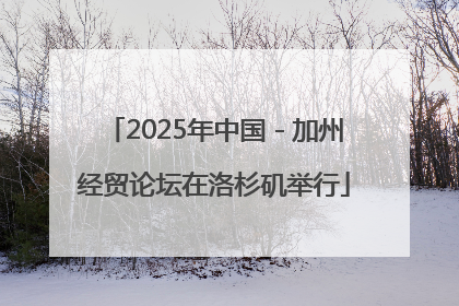 2025年中国－加州经贸论坛在洛杉矶举行
