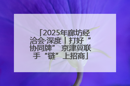 2025年廊坊经洽会·深度丨打好“协同牌” 京津冀联手“链”上招商