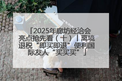 2025年廊坊经洽会亮点抢先看(十)丨离境退税“即买即退”便利国际友人“买买买”