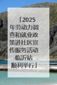 2025年劳动力调查和就业政策进社区宣传服务活动·临沂站 顺利举行