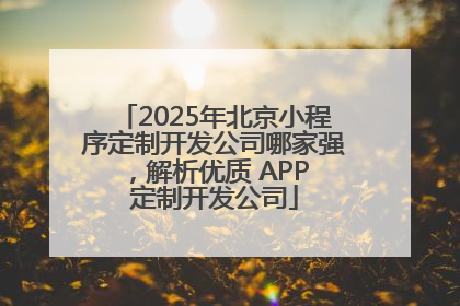 2025年北京小程序定制开发公司哪家强，解析优质 APP 定制开发公司
