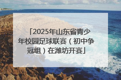 2025年山东省青少年校园足球联赛（初中争冠组）在潍坊开赛
