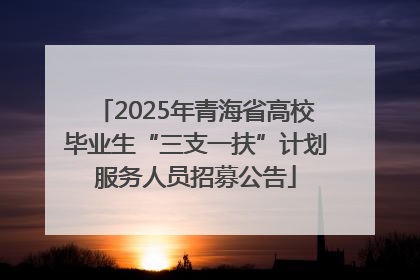 2025年青海省高校毕业生“三支一扶”计划服务人员招募公告