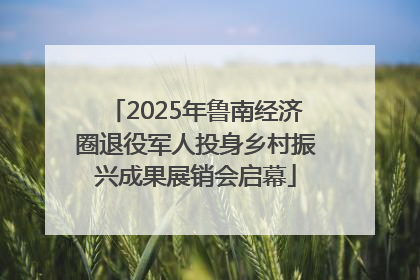 2025年鲁南经济圈退役军人投身乡村振兴成果展销会启幕