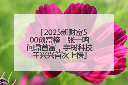 2025新财富500创富榜：张一鸣问鼎首富，宇树科技王兴兴首次上榜