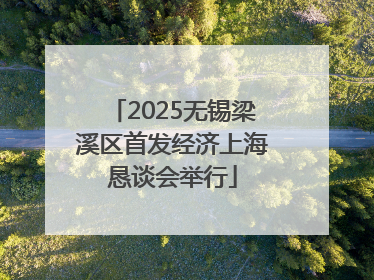 2025无锡梁溪区首发经济上海恳谈会举行