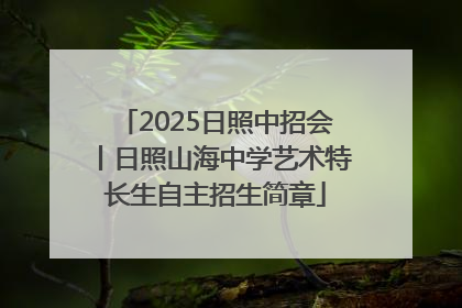 2025日照中招会丨日照山海中学艺术特长生自主招生简章